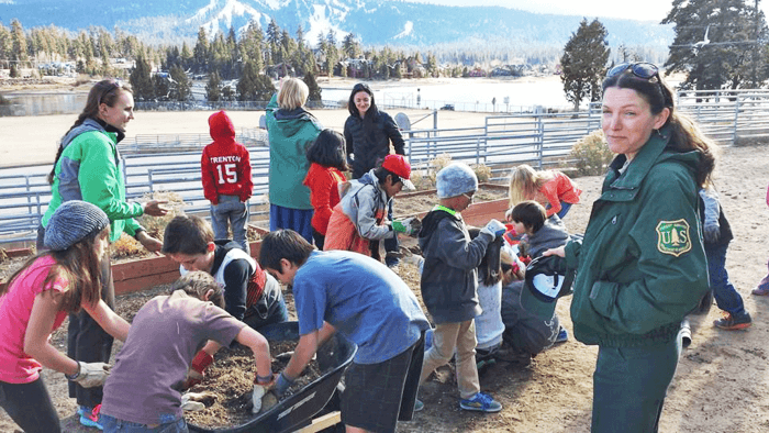 Children learning about nature at the Children's Forest