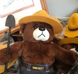 Smokey Bear is a beloved symbol of wildfire prevention in the United States, represented by a character of a bear wearing a ranger hat and holding a shovel