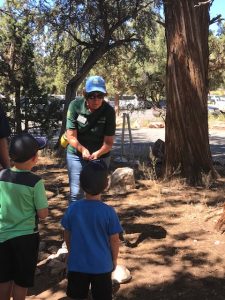 Guided Nature Walk @ Big Bear Discovery Center