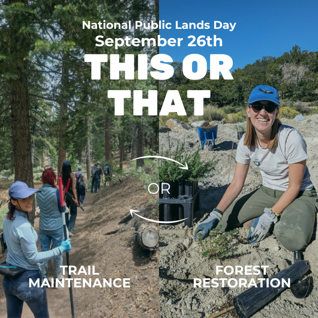 National Public Lands Day on September 26th
