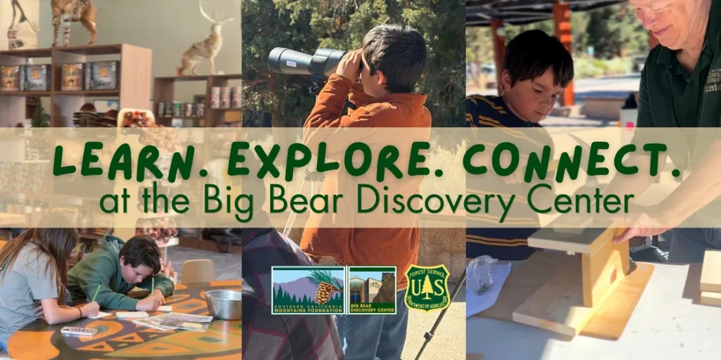 Community Events All Summer Long