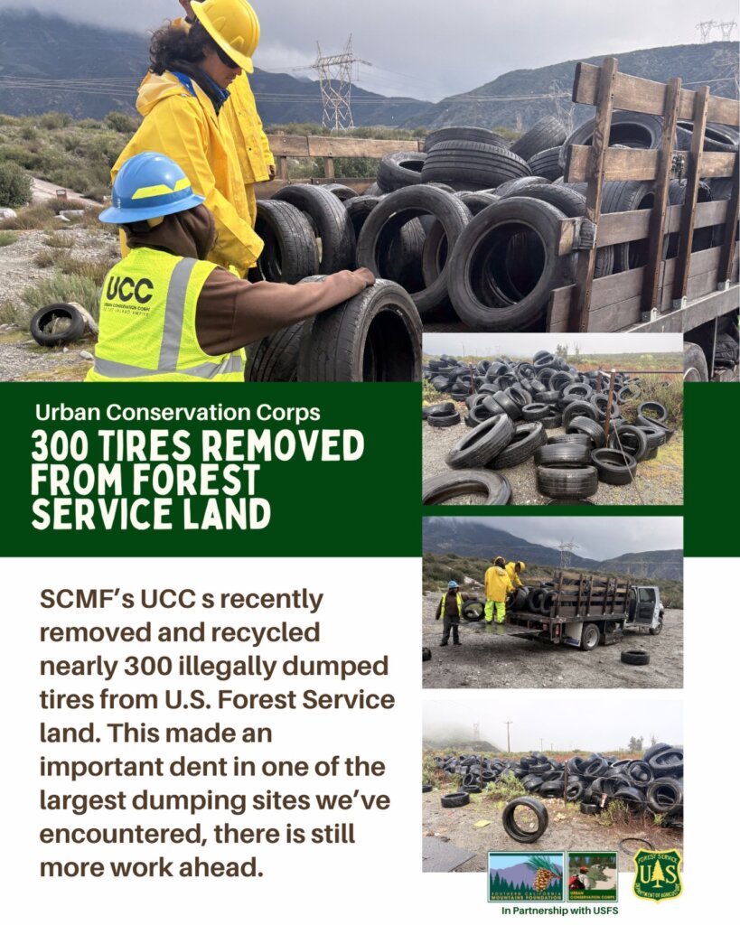 300 Tires Removed from Public Lands