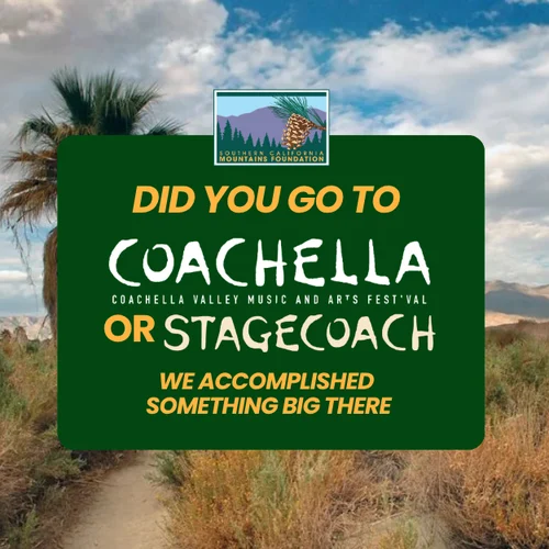 Recycling on the Big Stage